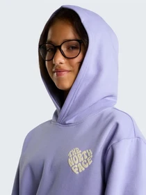 Худі та світшоти The North Face TEEN G BRAND PROUD RELAXED HOO модель NF0A8JBNNO51 Фото