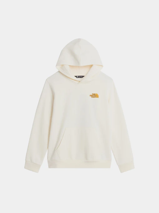 Худі та світшоти The North Face TEEN B OUTDOOR REGULAR HOODIE модель NF0A8JGZQLI1 Фото