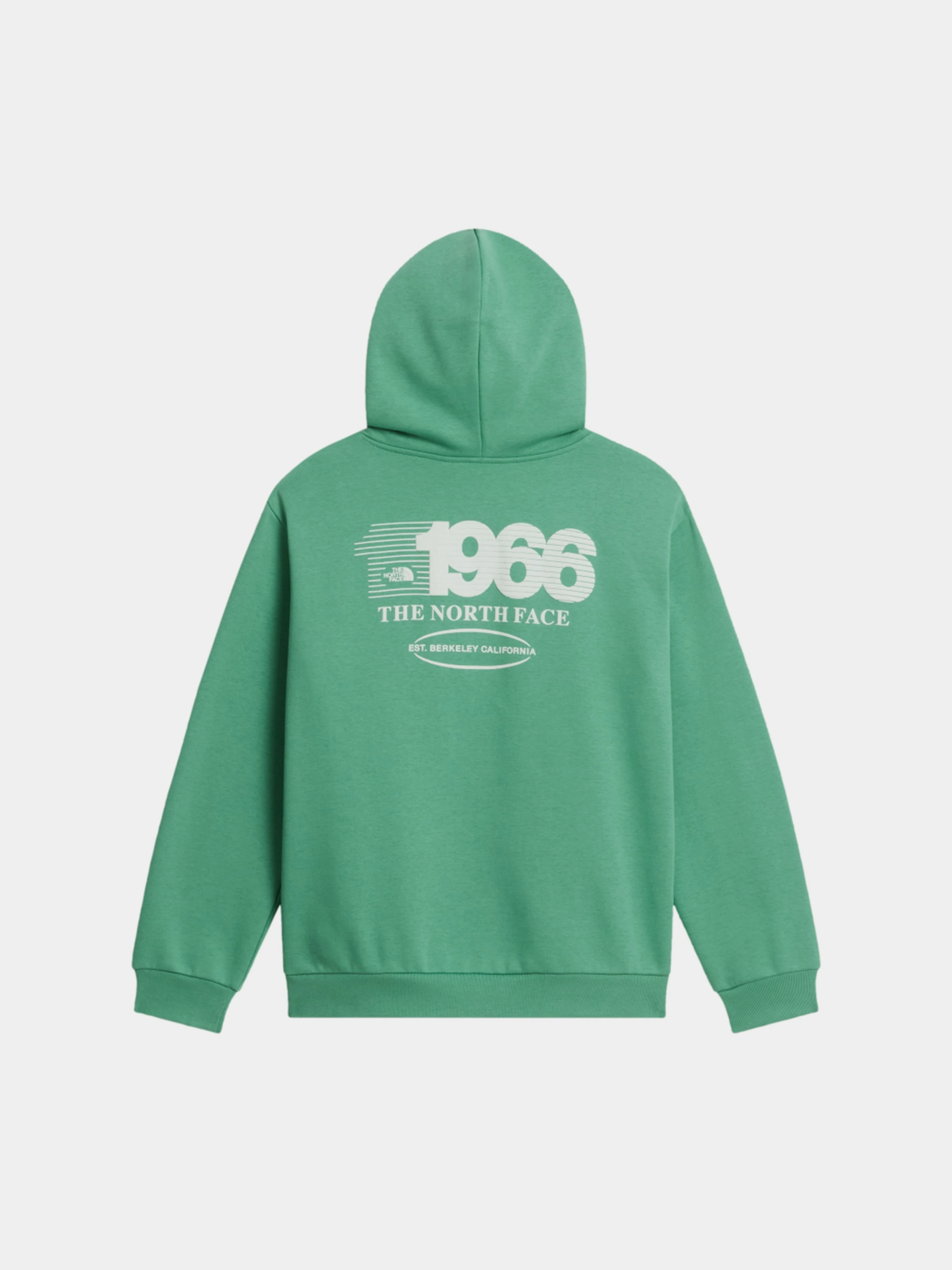 Дитяче Худі The North Face TEEN TRACK RELAXED HOODIE - GR фото 2