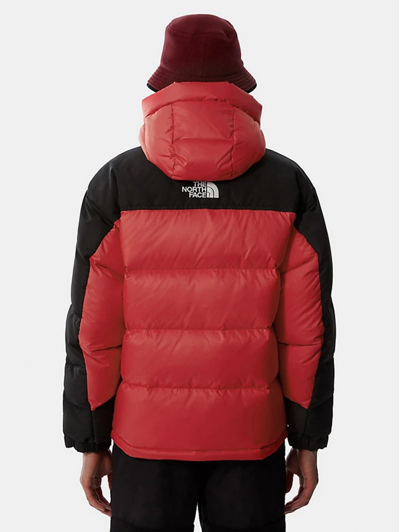 Куртки и дубленки The North Face Search & Rescue Himalayan модель NF0A55I6KZ31 Фото