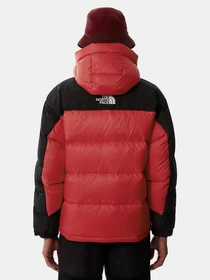 Куртки и дубленки The North Face Search & Rescue Himalayan модель NF0A55I6KZ31 Фото