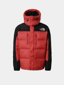 Куртки и дубленки The North Face Search & Rescue Himalayan модель NF0A55I6KZ31 Фото
