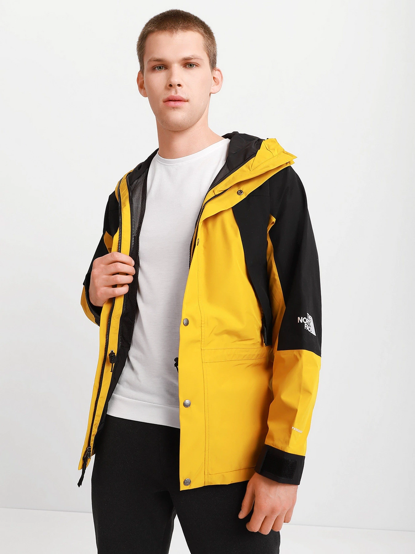 Куртки и дубленки The North Face Mountain Light Futurelight™ 1994 Retro модель NF0A4R52H9D1 Фото