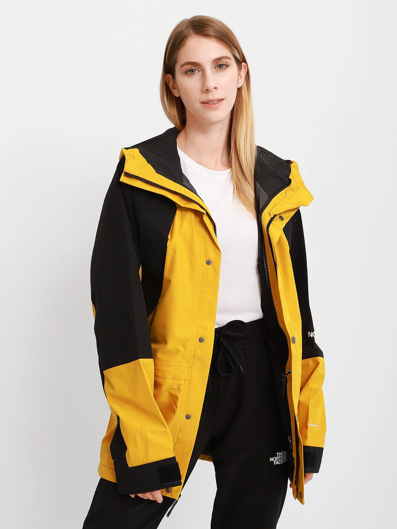 Куртки и дубленки The North Face Mountain Light Futurelight™ 1994 Retro модель NF0A4R52H9D1 Фото