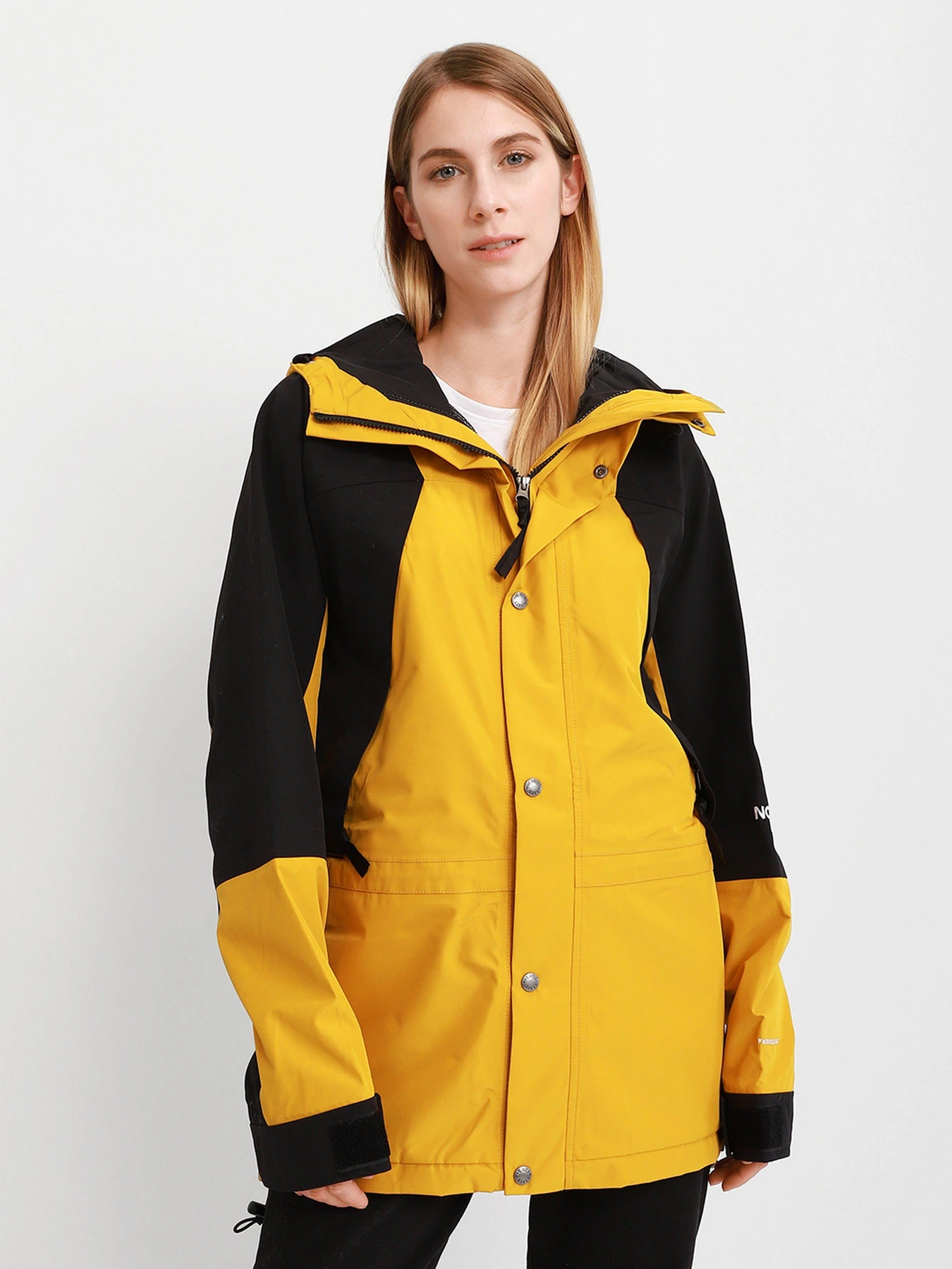 Куртки и дубленки The North Face Mountain Light Futurelight™ 1994 Retro модель NF0A4R52H9D1 Фото