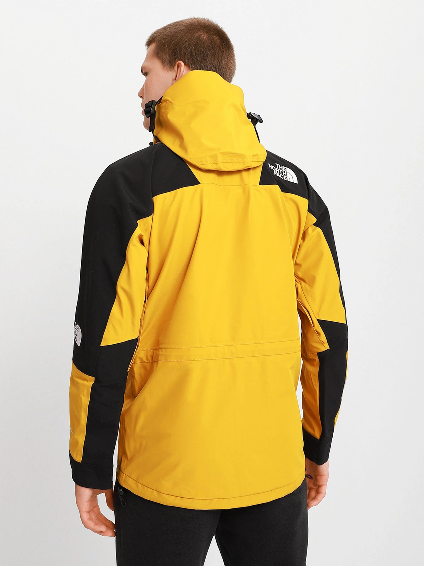 Куртки и дубленки The North Face Mountain Light Futurelight™ 1994 Retro модель NF0A4R52H9D1 Фото