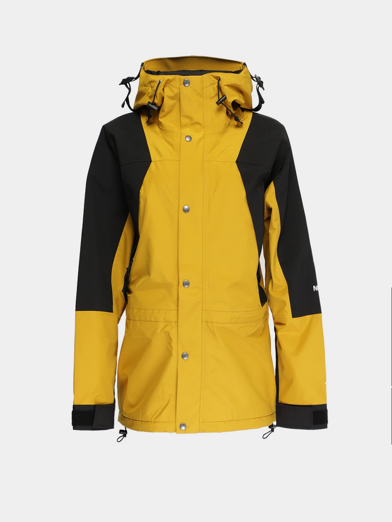 Куртки и дубленки The North Face Mountain Light Futurelight™ 1994 Retro модель NF0A4R52H9D1 Фото