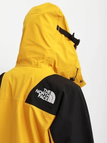 Куртки и дубленки The North Face Mountain Light Futurelight™ 1994 Retro модель NF0A4R52H9D1 Фото