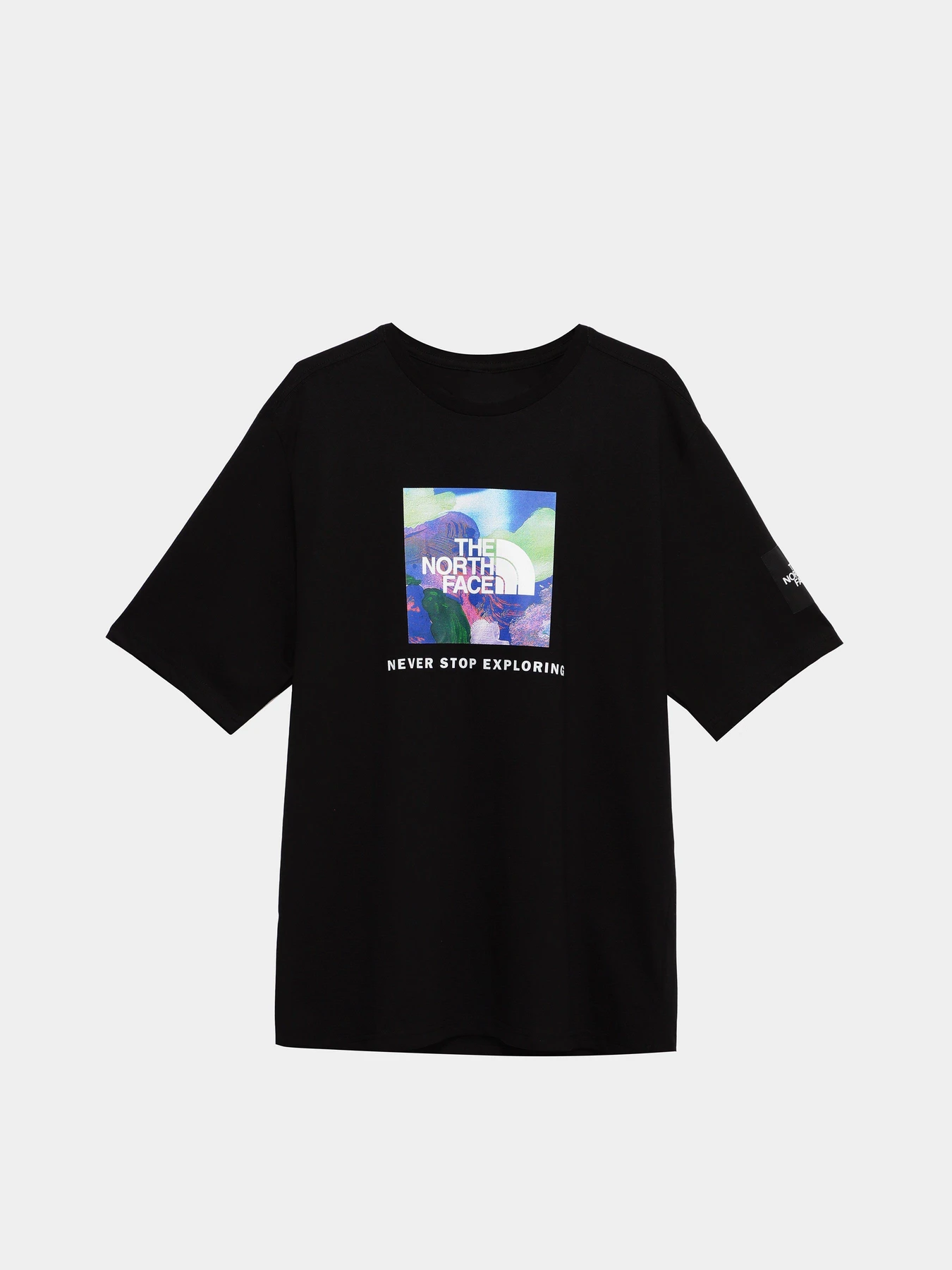 Футболки и поло The North Face X Alfie Kungu Graphic модель NF0A7X3KJK31 Футболки и поло The North Face X Alfie Kungu Graphic модель NF0A7X3KJK31 Фото