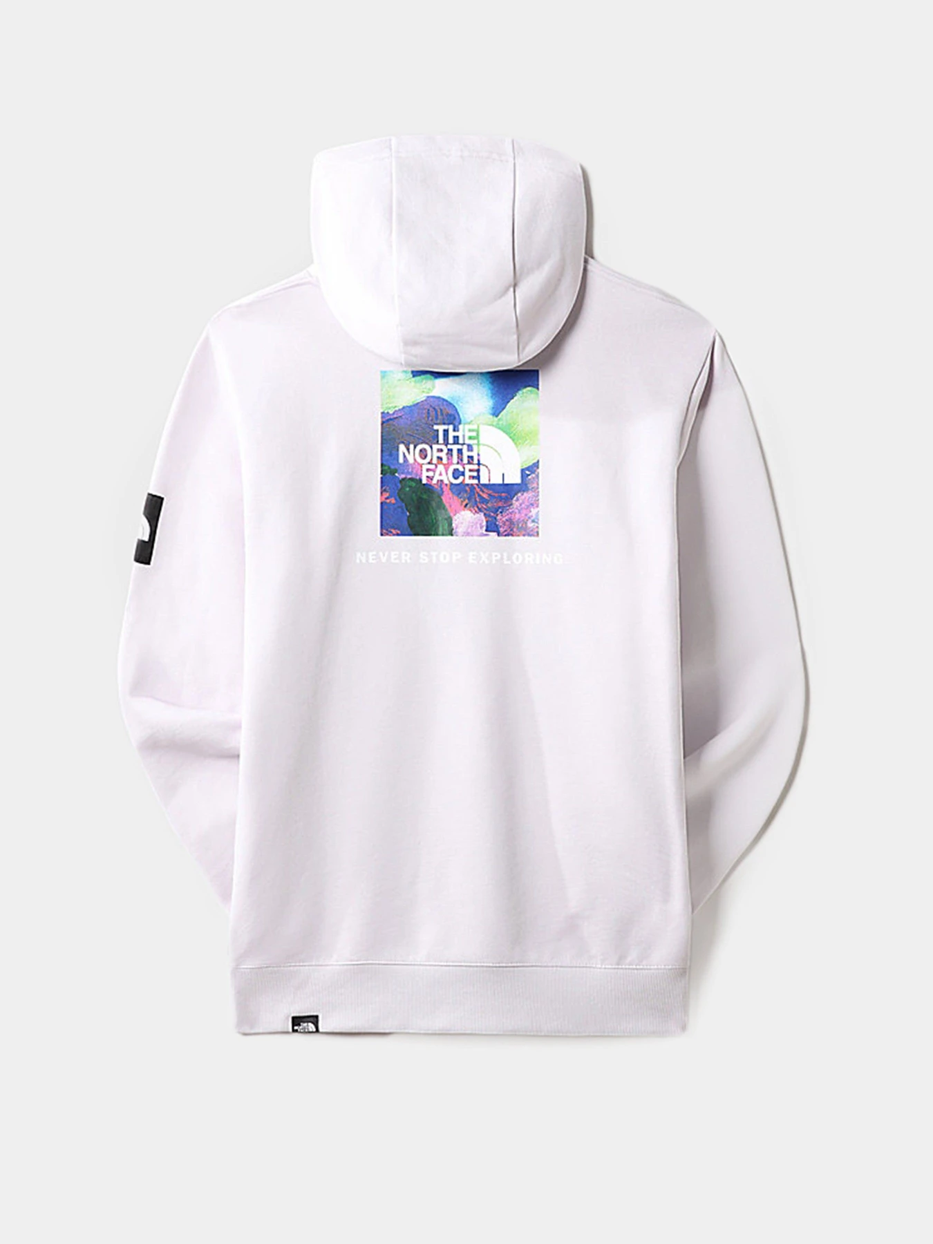 Худи и свитшоты The North Face x Alfie Kungu Patch Graphic модель NF0A7X3J6S11 Худи и свитшоты The North Face x Alfie Kungu Patch Graphic модель NF0A7X3J6S11 Фото