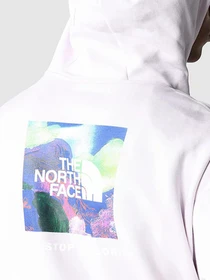 Худи и свитшоты The North Face x Alfie Kungu Patch Graphic модель NF0A7X3J6S11 Фото
