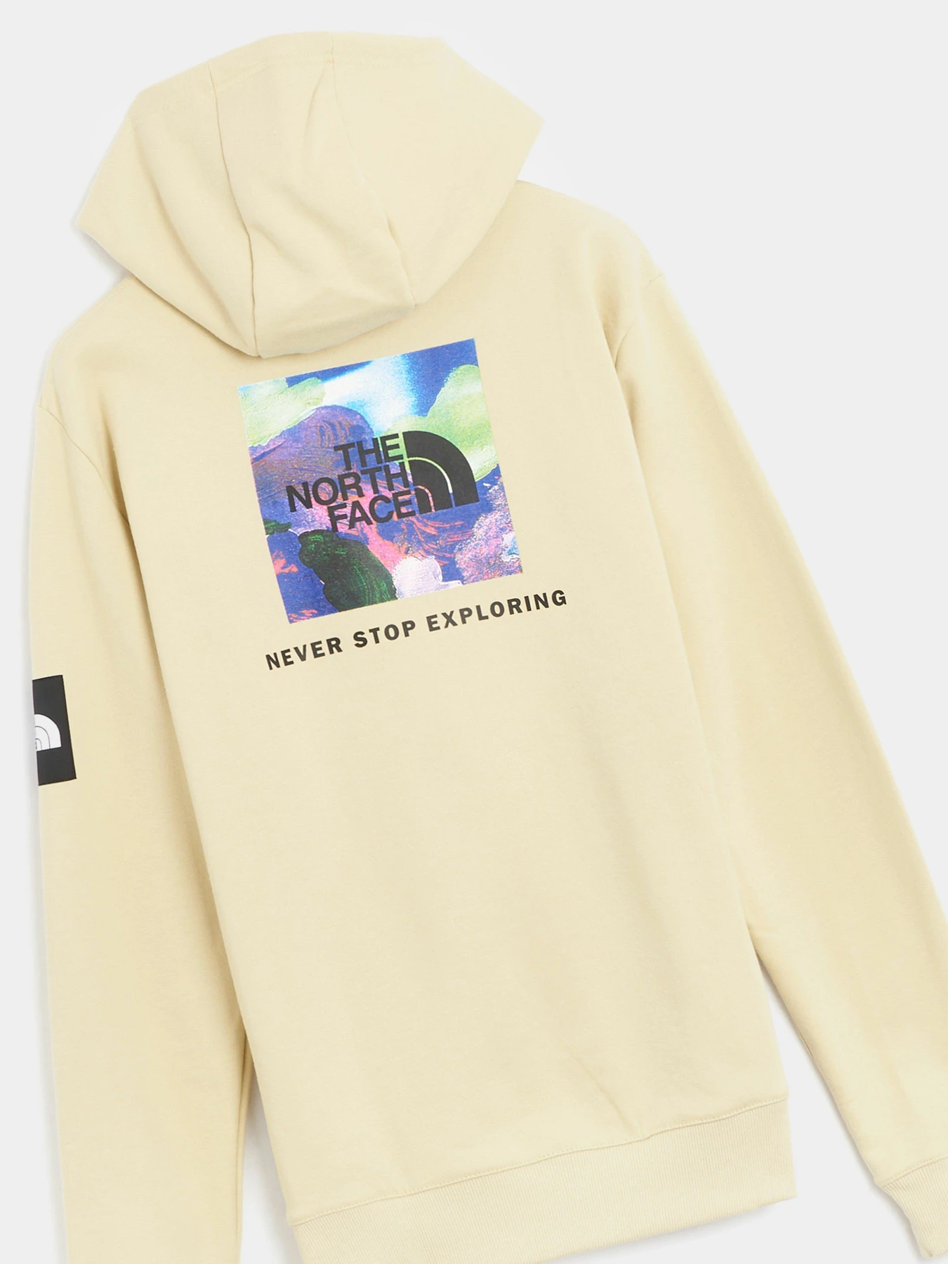 Худи и свитшоты The North Face x Alfie Kungu Patch Graphic модель NF0A7X3J3X41 Худи и свитшоты The North Face x Alfie Kungu Patch Graphic модель NF0A7X3J3X41 Фото