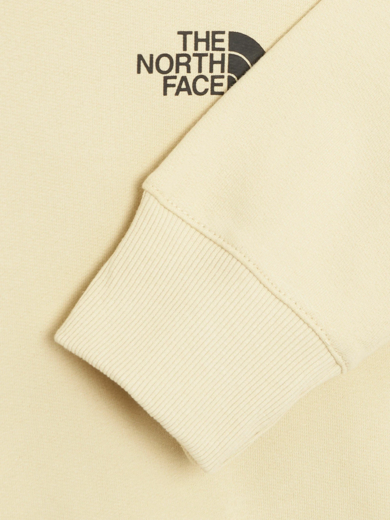 Худи и свитшоты The North Face x Alfie Kungu Patch Graphic модель NF0A7X3J3X41 Худи и свитшоты The North Face x Alfie Kungu Patch Graphic модель NF0A7X3J3X41 Фото