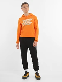 Худи и свитшоты The North Face Graphic модель NF0A852ZI0M1 Фото