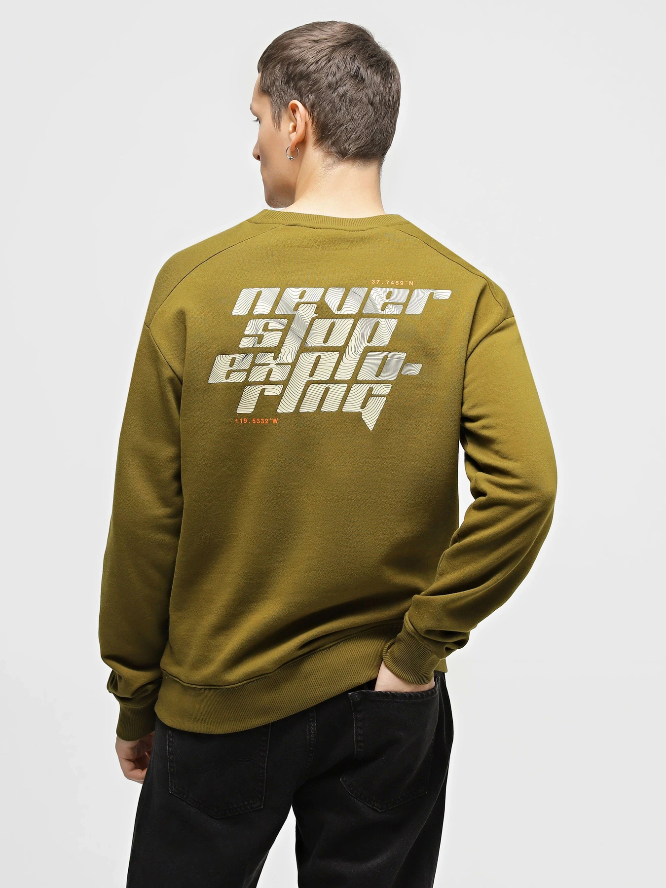 Худи и свитшоты The North Face Graphic Crew модель NF0A8531BEB1 Фото