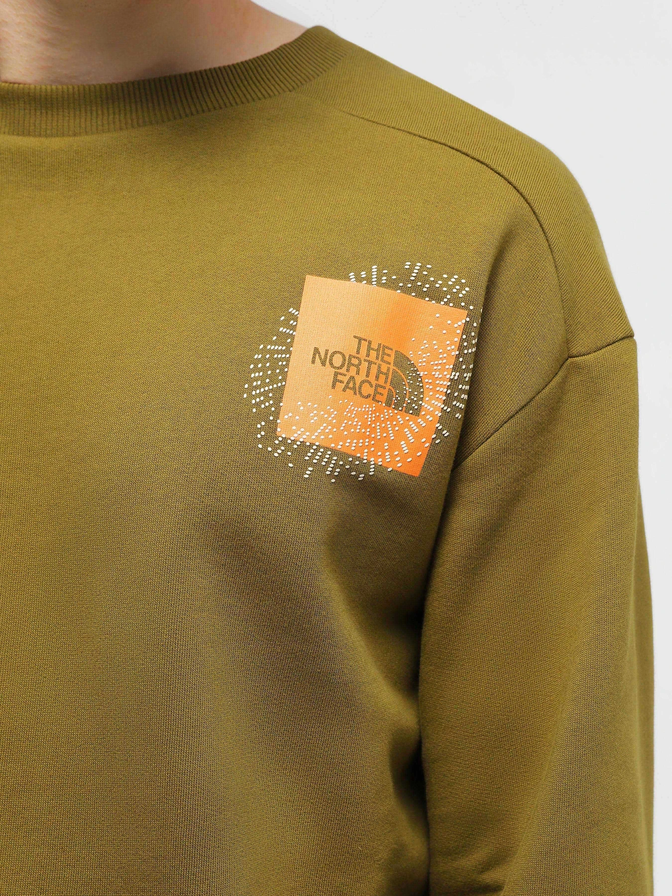 Худи и свитшоты The North Face Graphic Crew модель NF0A8531BEB1 Фото