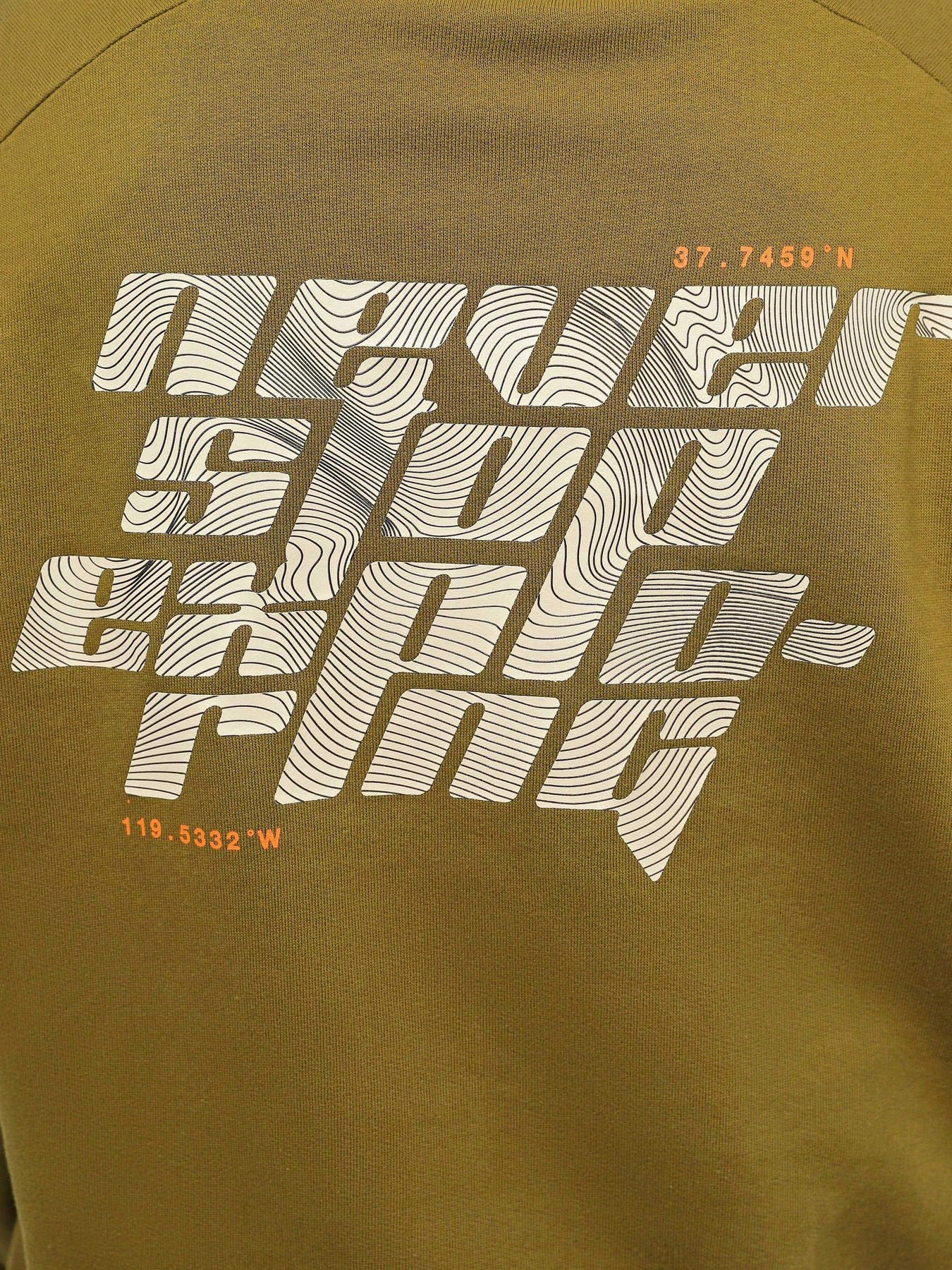 Худи и свитшоты The North Face Graphic Crew модель NF0A8531BEB1 Фото