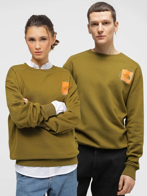 Худи и свитшоты The North Face Graphic Crew модель NF0A8531BEB1 Фото