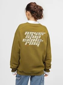 Худи и свитшоты The North Face Graphic Crew модель NF0A8531BEB1 Фото
