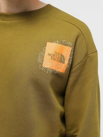 Худи и свитшоты The North Face Graphic Crew модель NF0A8531BEB1 Фото