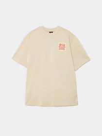 Футболки и поло The North Face Graphic Tee Box Fit модель NF0A85353X41 Фото