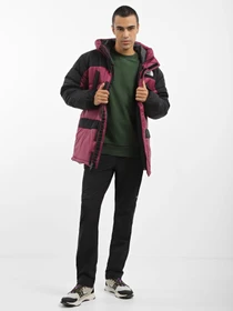 Куртки и дубленки The North Face HMLYN Insulated модель NF0A4QZ5KK91 Фото