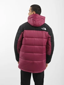 Куртки и дубленки The North Face HMLYN Insulated модель NF0A4QZ5KK91 Фото