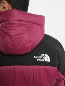 Куртки и дубленки The North Face HMLYN Insulated модель NF0A4QZ5KK91 Фото