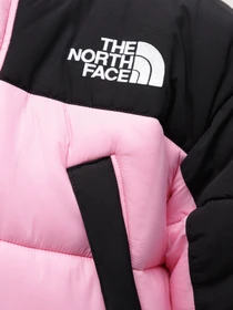 Куртки та дублянки The North Face Himalayan Insulated модель NF0A4QZ5ODW1 Фото
