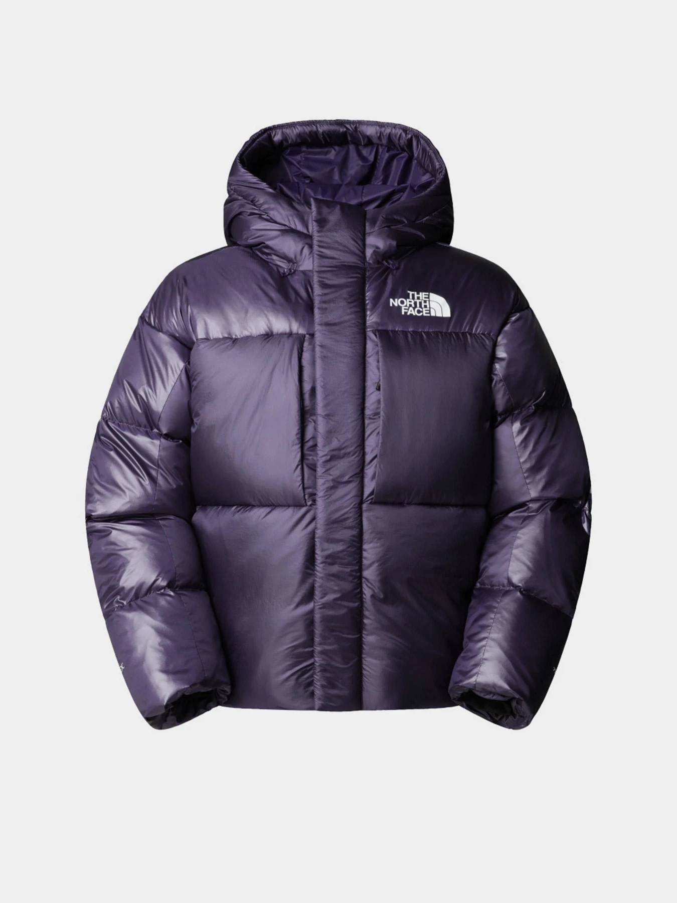 Куртки и дубленки The North Face модель NF0A8DQB1JI1 Куртки и дубленки The North Face модель NF0A8DQB1JI1 Фото