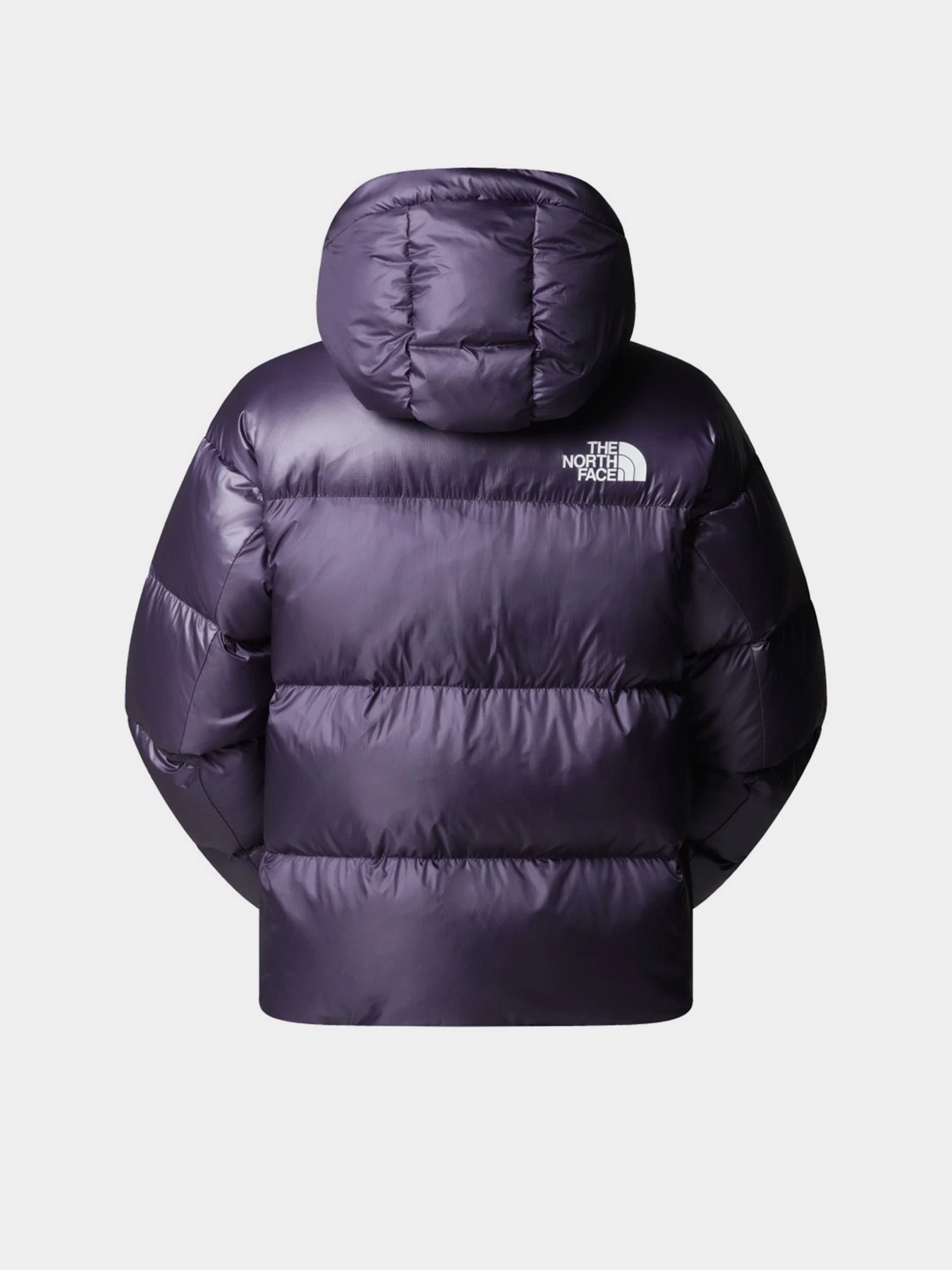 Куртки и дубленки The North Face модель NF0A8DQB1JI1 Куртки и дубленки The North Face модель NF0A8DQB1JI1 Фото