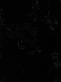 Платья S.Oliver модель 14811828899_чорний Фото