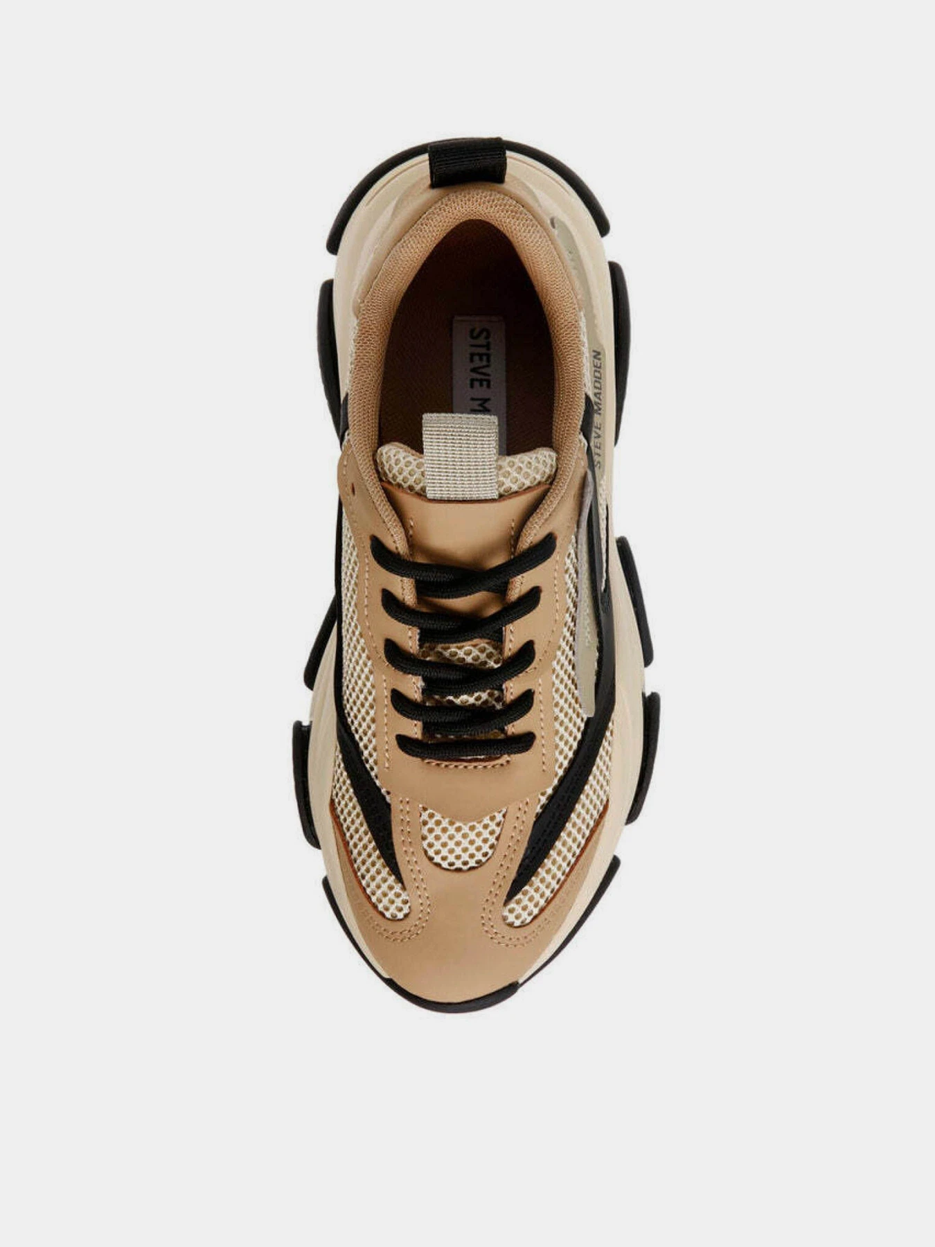 Кроссовки Steve Madden Possession-E модель SM19000033 KHAKI/BLACK Фото