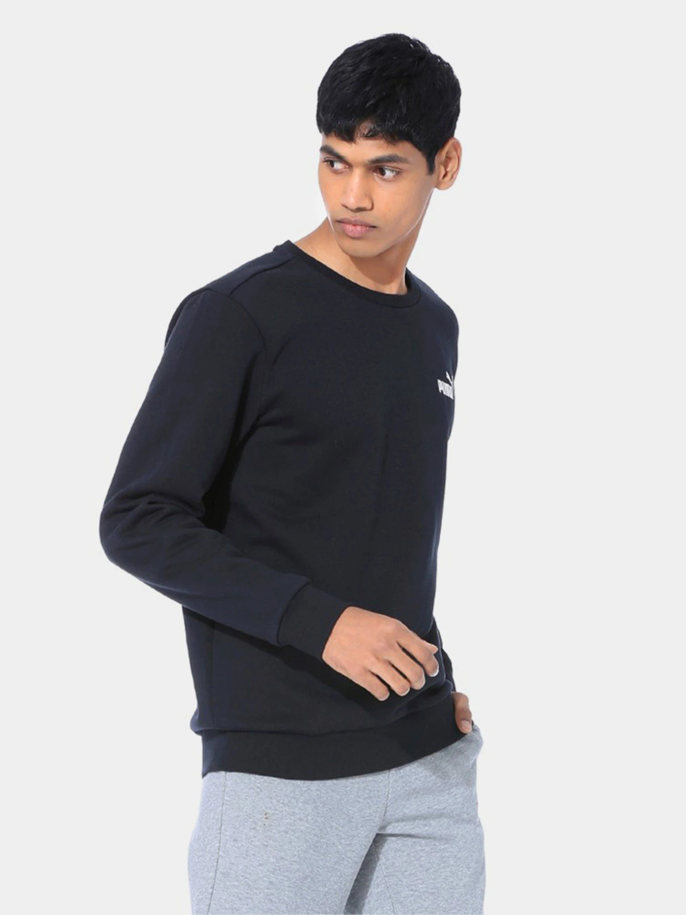 Худи и свитшоты PUMA ESSENTIALS FLEECE CREW модель 85174801 Фото