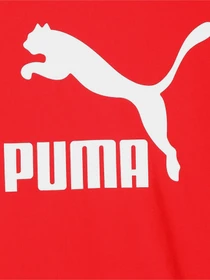 Футболки и поло PUMA Classics Tee B модель 53011511 Фото