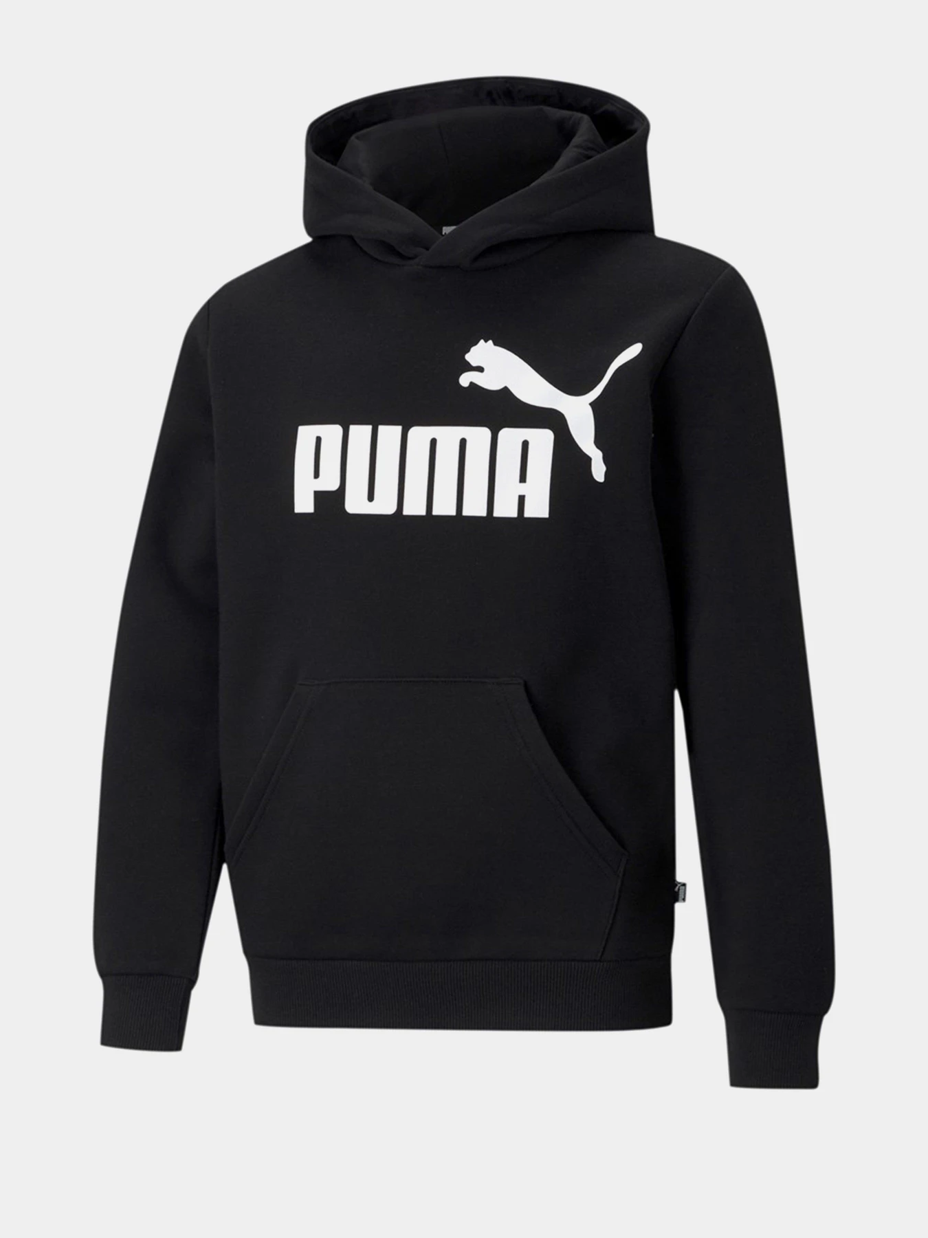 Худи и свитшоты PUMA ESS Big Logo Hoodie FL B модель 58696501 Худи и свитшоты PUMA ESS Big Logo Hoodie FL B модель 58696501 Фото