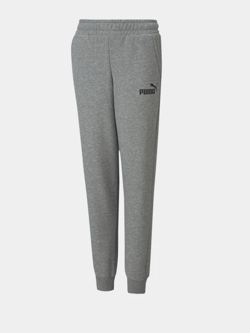 Штани PUMA ESSENTIALS LOGO YOUTH модель 58697403 Фото