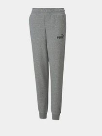 Штани PUMA ESSENTIALS LOGO YOUTH модель 58697403 Фото