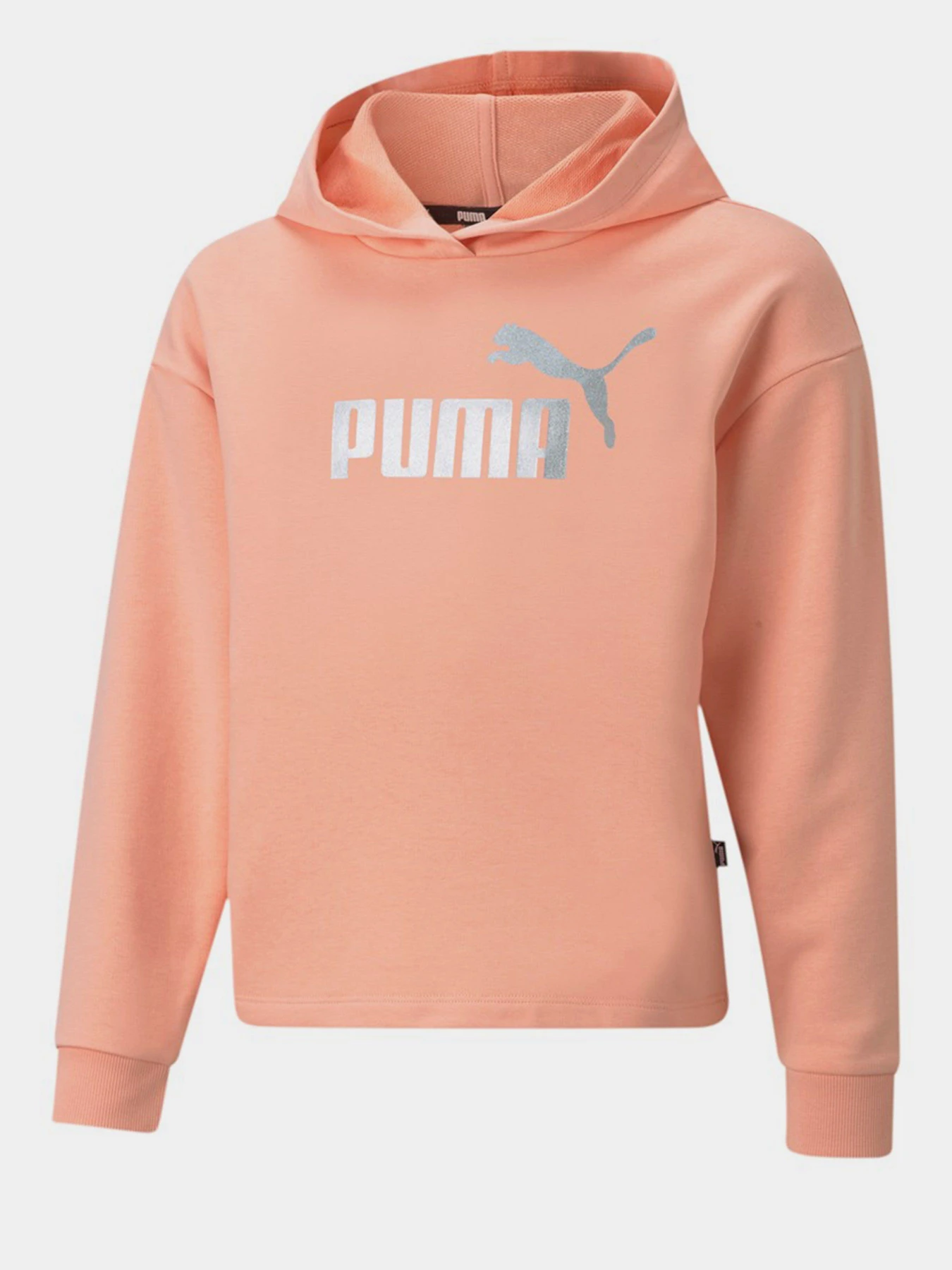 Худи и свитшоты PUMA ESS+ модель 58704626 Худи и свитшоты PUMA ESS+ модель 58704626 Фото