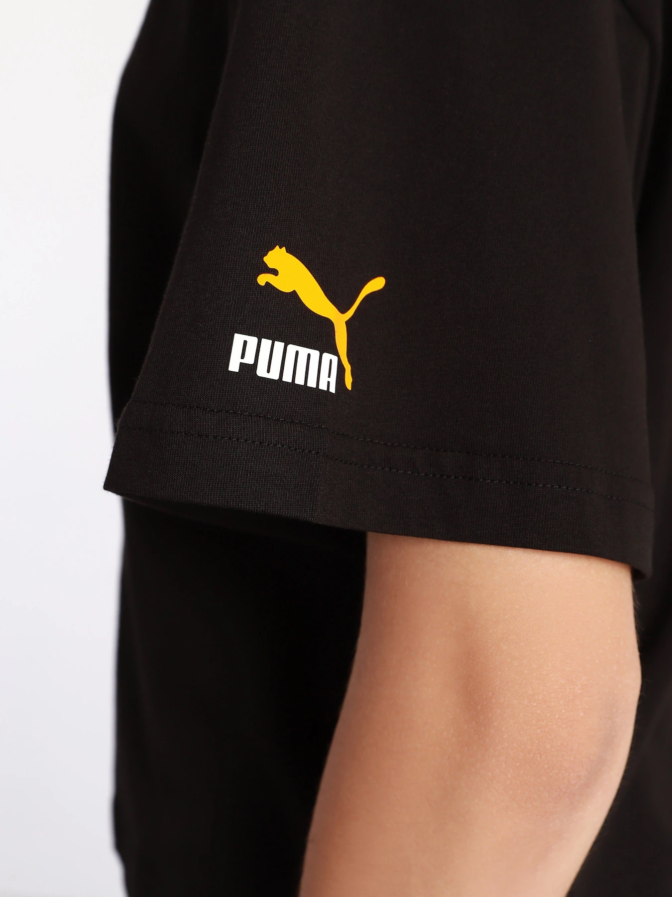 Футболки і поло PUMA ELEVATE Graphic Tee Wns модель 53108051 Футболки і поло PUMA ELEVATE Graphic Tee Wns модель 53108051 Фото