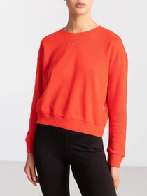 Худи и свитшоты PUMA Modern Basics модель 58593223 Фото