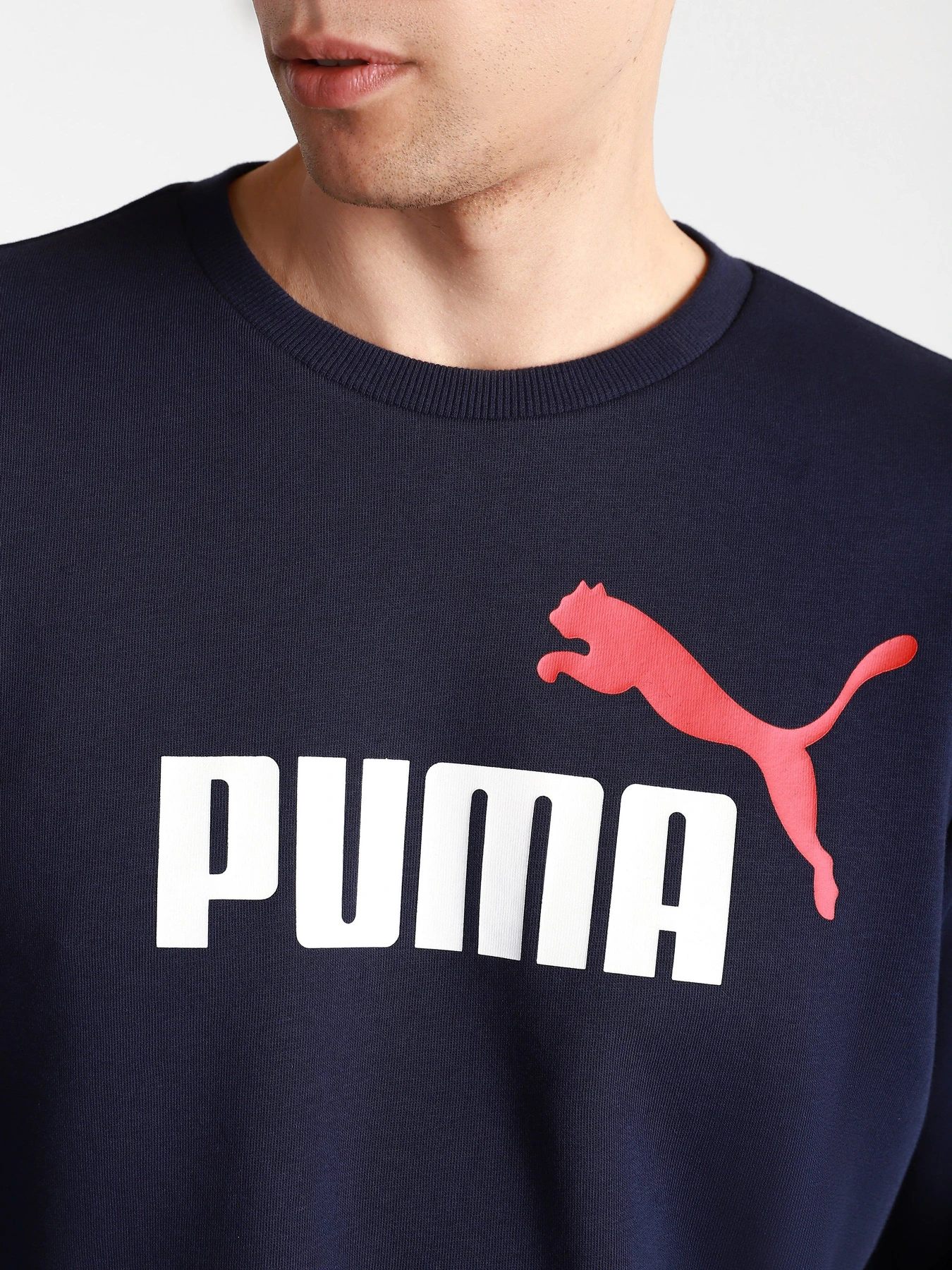 Худі та світшоти PUMA ESS+ 2 Col Big Logo модель 58676306 Худі та світшоти PUMA ESS+ 2 Col Big Logo модель 58676306 Фото