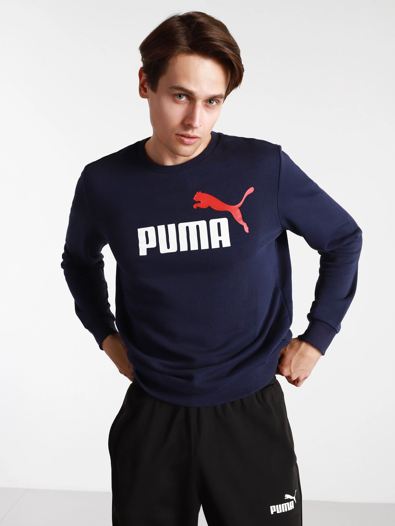 Худі та світшоти PUMA ESS+ 2 Col Big Logo модель 58676306 Худі та світшоти PUMA ESS+ 2 Col Big Logo модель 58676306 Фото