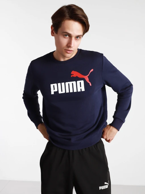 Худі та світшоти PUMA ESS+ 2 Col Big Logo модель 58676306 Фото