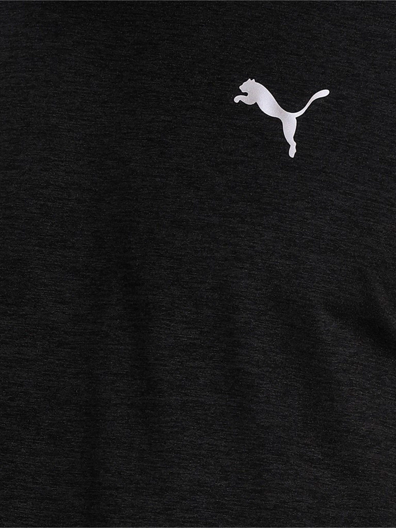 Футболки и поло PUMA FAVOURITE модель 52020901 Футболки и поло PUMA FAVOURITE модель 52020901 Фото