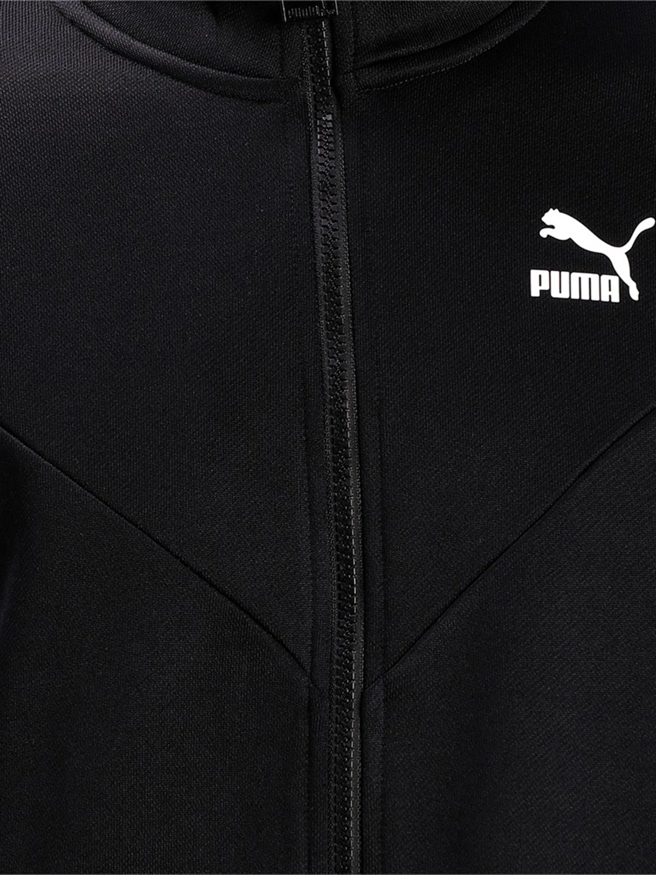 Худі та світшоти PUMA Iconic MCS модель 53010201 Худі та світшоти PUMA Iconic MCS модель 53010201 Фото