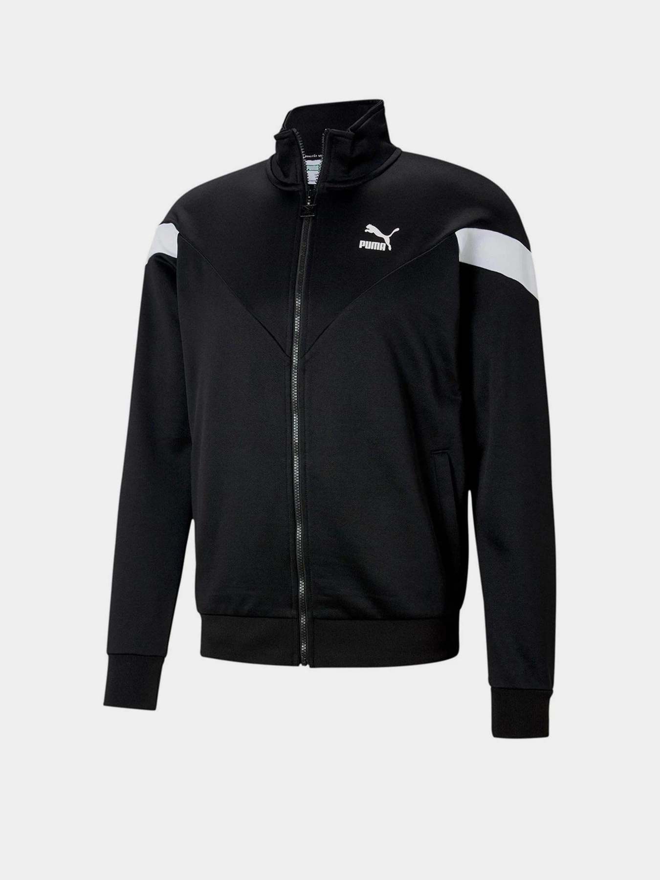 Худі та світшоти PUMA Iconic MCS модель 53010201 Худі та світшоти PUMA Iconic MCS модель 53010201 Фото