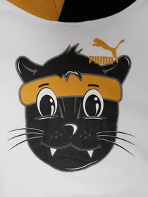 Худи и свитшоты PUMA Lil Puma Hoodie модель 53179502 Фото