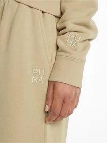 Брюки PUMA Infuse Sweat Pants модель 53193020 Фото