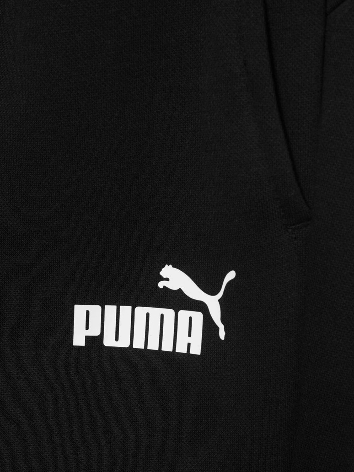 Штани PUMA ESS Logo Pants FL cl модель 58671401 Штани PUMA ESS Logo Pants FL cl модель 58671401 Фото